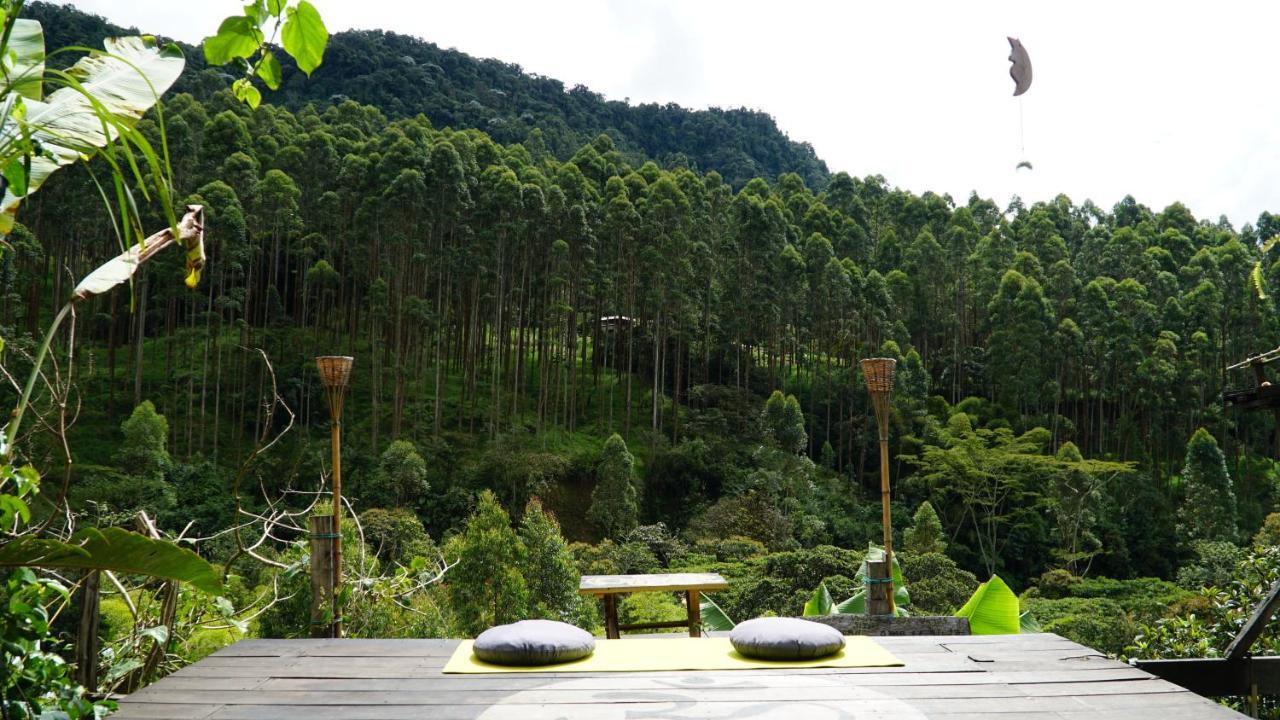 Creo Ecolodge Jardín Exterior foto