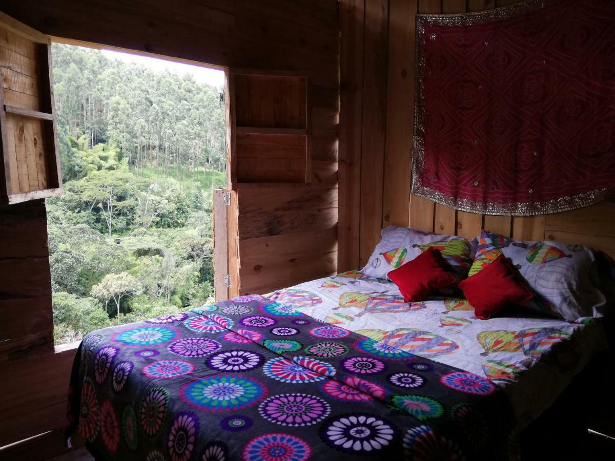 Creo Ecolodge Jardín Exterior foto